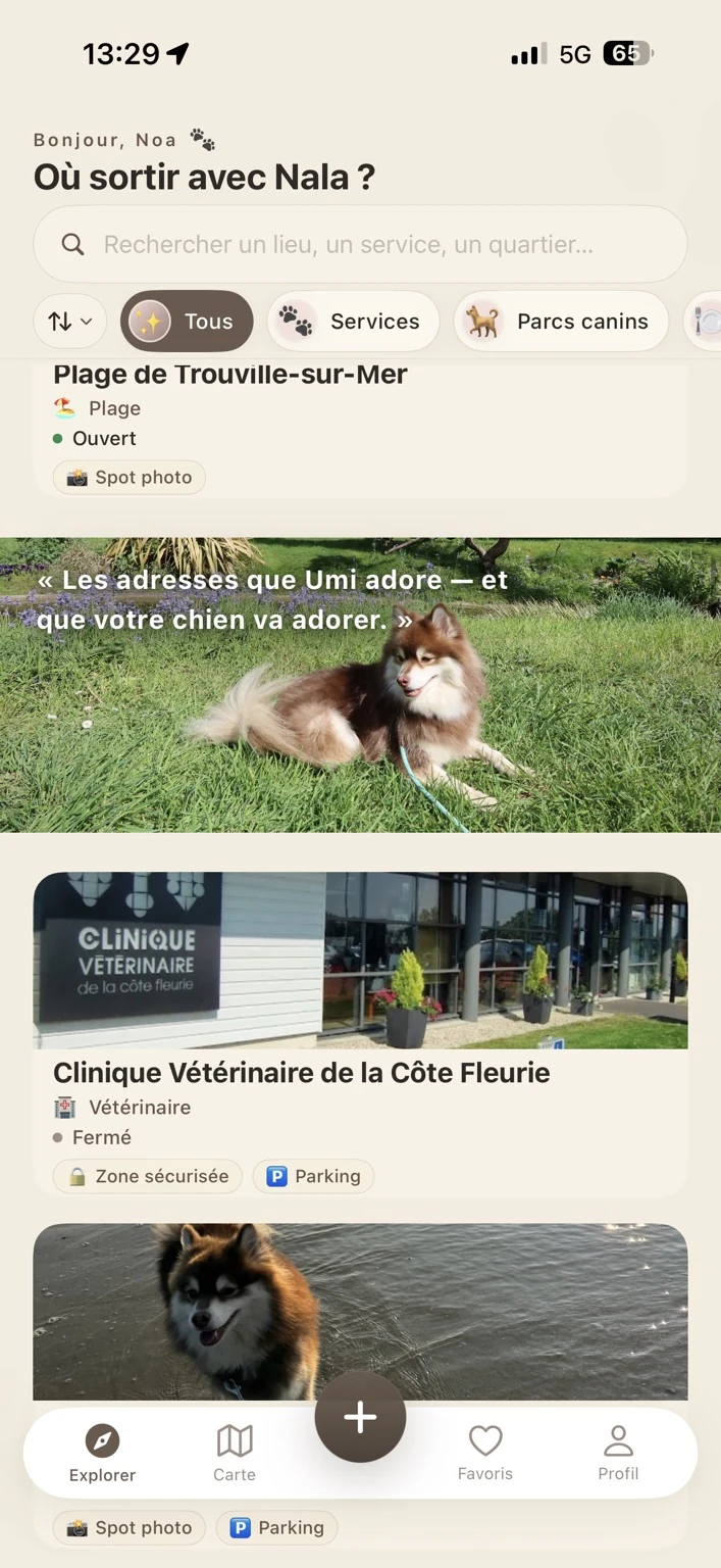 Explorer des adresses à Deauville
