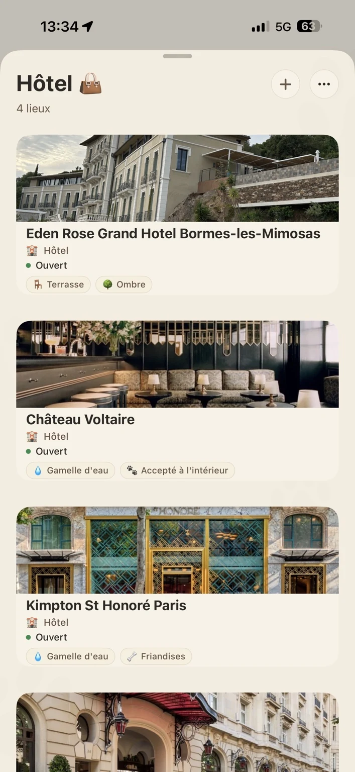 Liste des hôtels dog-friendly