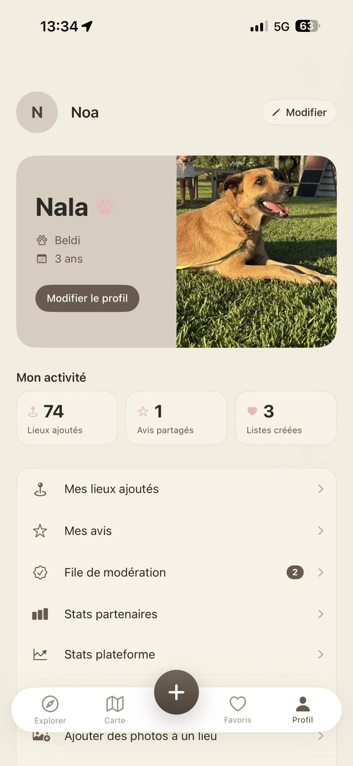 Profil du chien