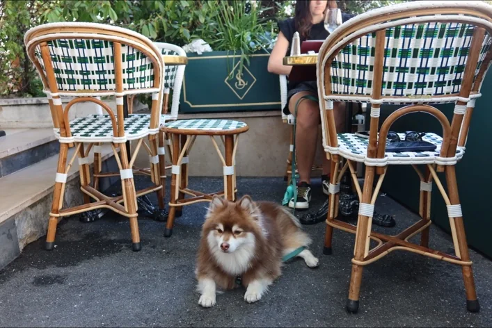 Umi en terrasse